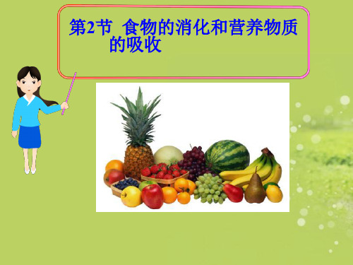 北师大版生物七年级下册：8.2 食物的消化和营养物质的吸收 课件  (共28张PPT)