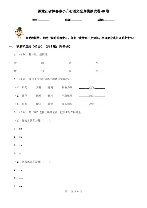 黑龙江省伊春市小升初语文全真模拟试卷4D卷