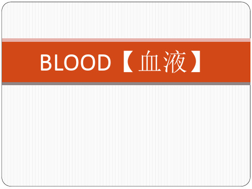生理学课件：blood 血液