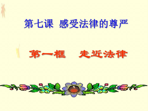 初一政治下学期走近法律g (2)