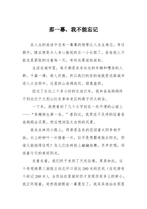 初中优秀记叙文作文：那一幕,我不能忘记_4