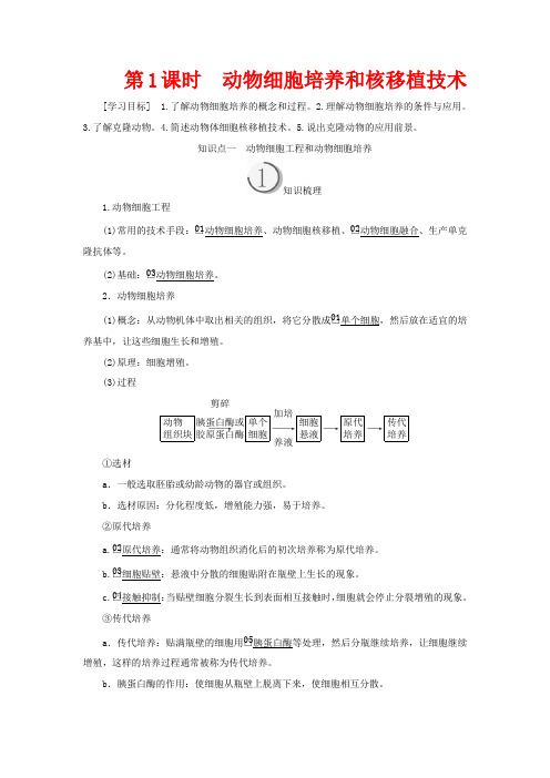 高中生物 专题2 细胞工程 2.2 第1课时 动物细胞培养和核移植技术教案高二生物教案