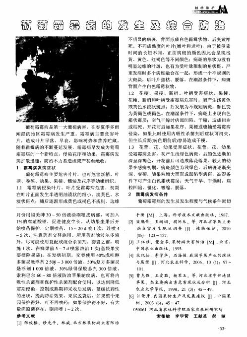 葡萄霜霉病的发生及综合防治