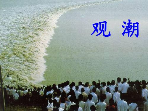 人教版小学语文四年级上册《观潮》PPT课件