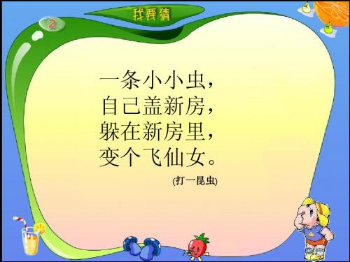 苏教版 二年级下册 语文 2.蚕姑娘