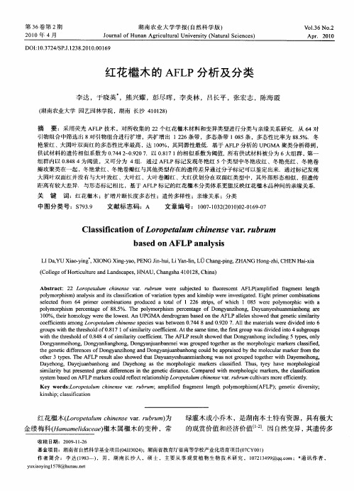 红花檵木的AFLP分析及分类