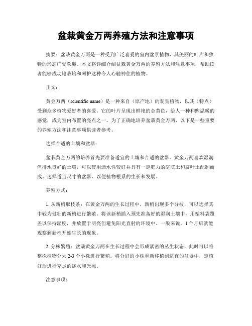 盆栽黄金万两养殖方法和注意事项