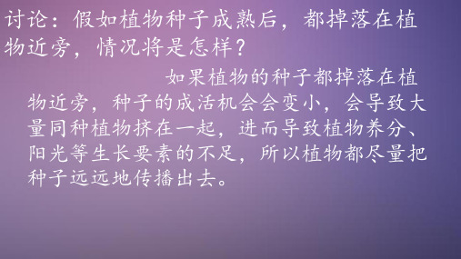 四年级下册科学课堂课件_把种子散播到远处_教科版