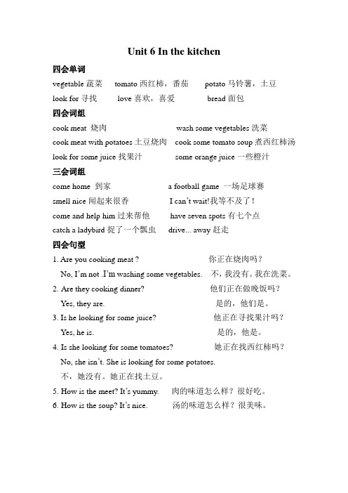 译林小学英语五年级下册Unit6重点知识的总结