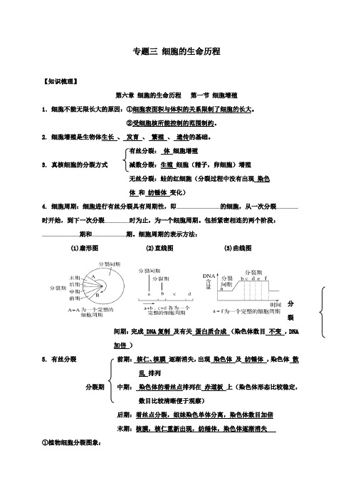 安徽省潜山县三环高级中学高考生物二轮复习教案专题三 细胞的生命历程