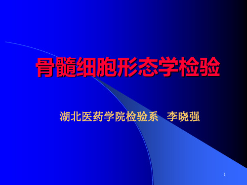 骨髓象检验APPT课件