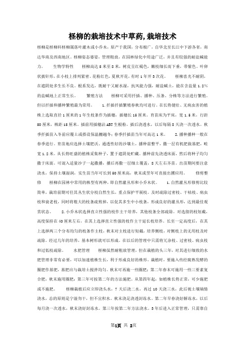 柽柳的栽培技术中草药,栽培技术