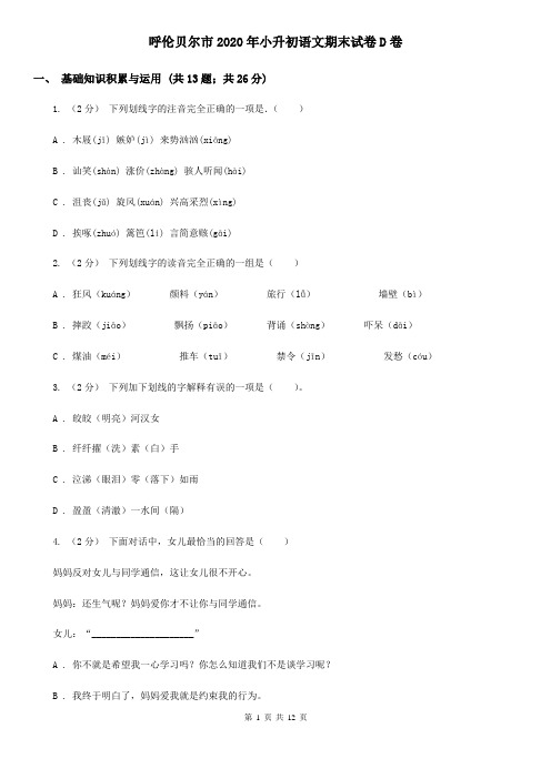 呼伦贝尔市2020年小升初语文期末试卷D卷