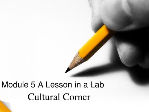 Module 5A Lesson in a LabCulture Corner