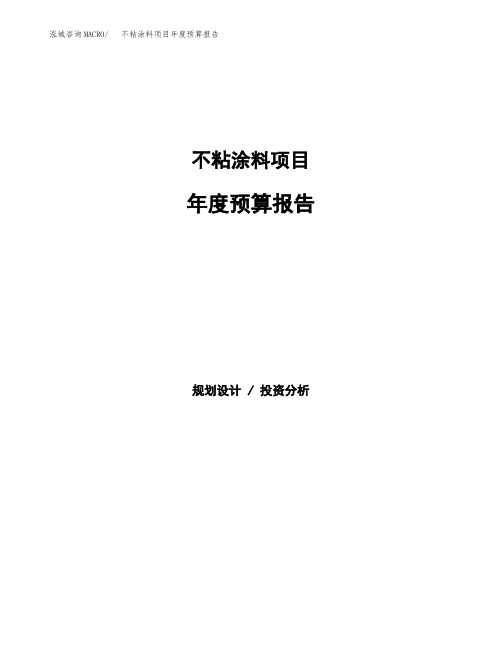 不粘涂料项目年度预算报告