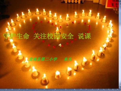 守护生命,关注校园安全说课课件(1)2