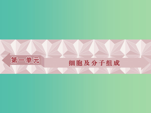 高考生物大一轮复习 第一单元 细胞及分子组成 第1讲 走近细胞课件
