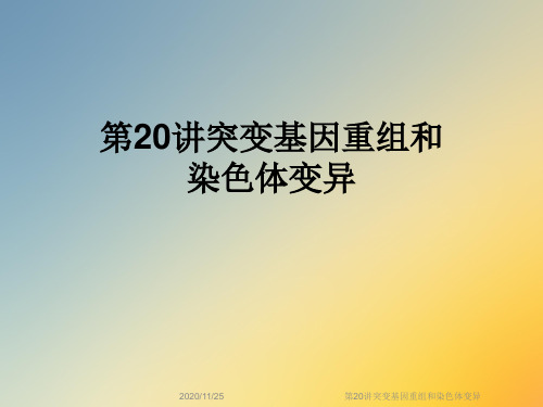 第20讲突变基因重组和染色体变异