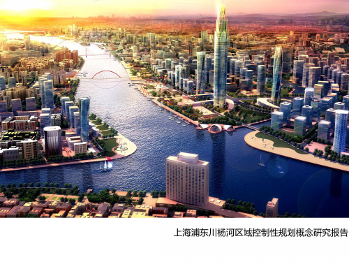 城市设计--上海浦东川杨河区域控制性详细规划