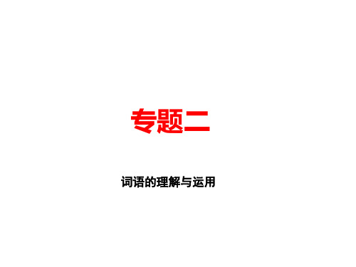 2020届人教部编版九年级语文下册课件：专题二 词语的理解与运用 (共16张PPT)