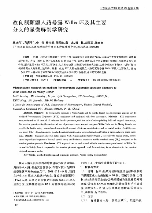 改良额颞颧入路暴露Willis环及其主要分支的显微解剖学研究