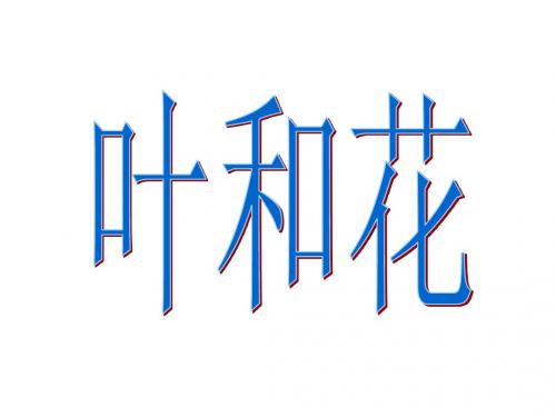叶和花