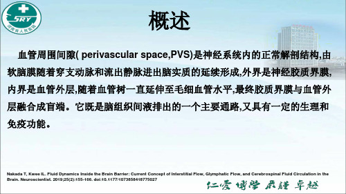 血管周围间隙扩大与认知障碍的研究进展 2020