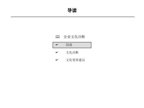 武汉院企业文化诊断报告-final