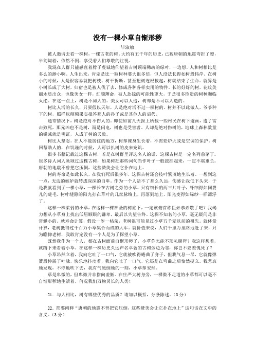 没有一棵小草自惭形秽(2006江苏连云港中考语文散文阅读)