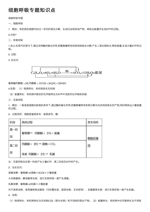 细胞呼吸专题知识点