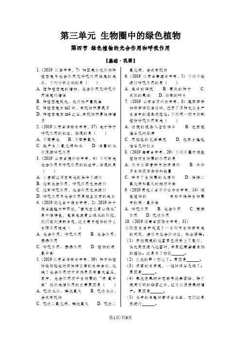 人教版七年级上册生物《绿色植物的光合作用和呼吸作用》试题解析