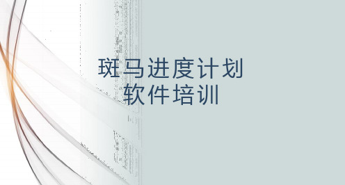 斑马进度计划软件培训PPT
