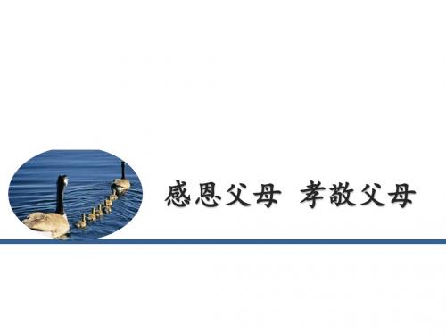 (新)教科版《道德与法治》七年级下册4.1《感恩父母,孝敬父母》课件(共20张PPT)