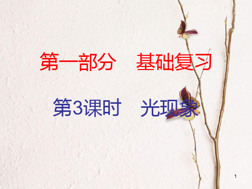 广东省中考物理总复习 第一部分 基础复习 第3课时 光现象内文部分课件.pptx