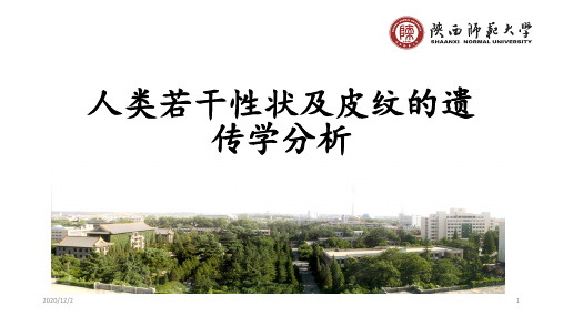 人类若干体表性状的遗传学分析及皮纹的遗传分析 ppt课件