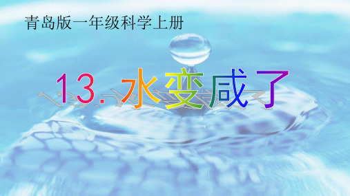 水变咸了PPT