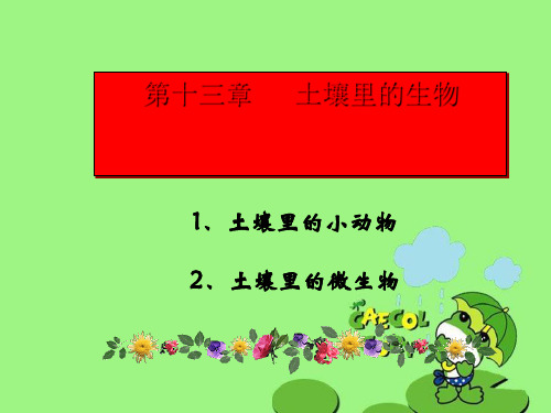 土壤里的小动物PPT课件1 苏科版