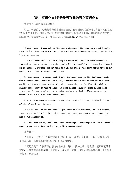 [高中英语作文]冬天漫天飞舞的雪花英语作文