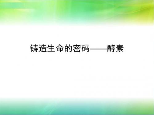 铸造生命的密码——酵素
