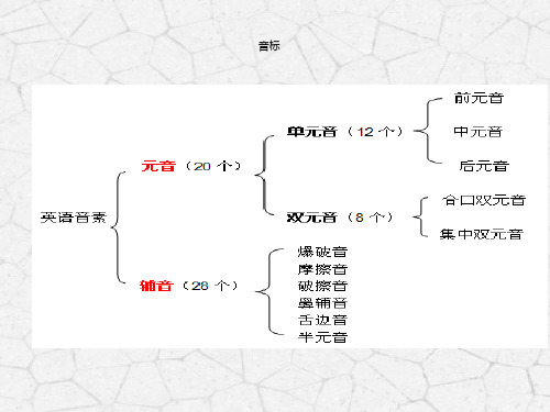 7. 国际音标发音教学(共57张PPT)