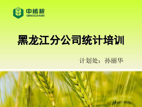 2015统计培训