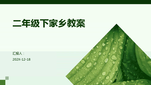 二年级下家乡教案