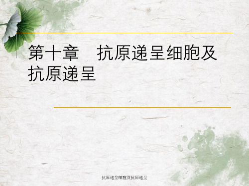 抗原递呈细胞及抗原递呈