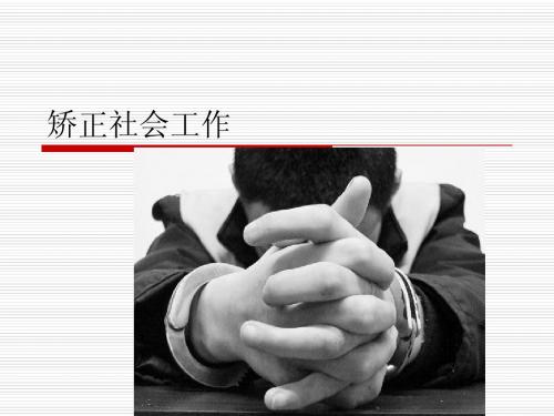 7社会工作 实务—— 矫正社会工作