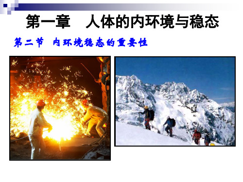 高中生物必修三1.2 内环境稳态的重要性
