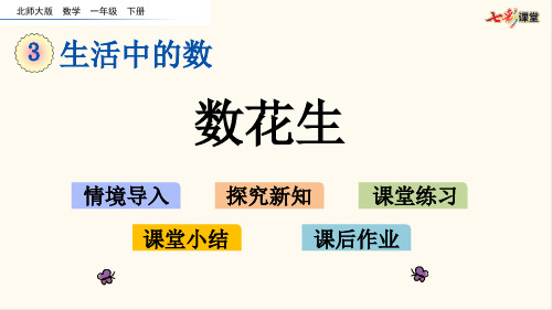 北师大版一年级数学下册3.1  数花生(优质课件)