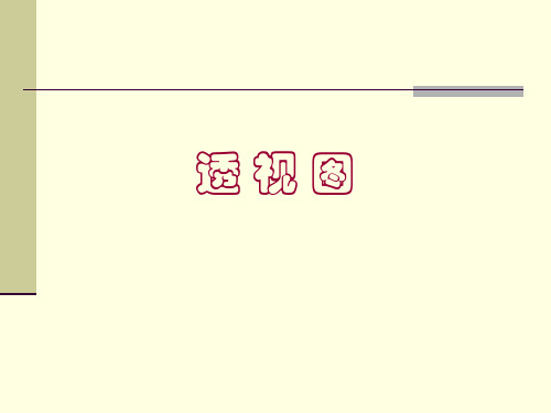透视图-2013.4