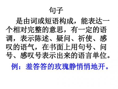现代汉语语法句修改版