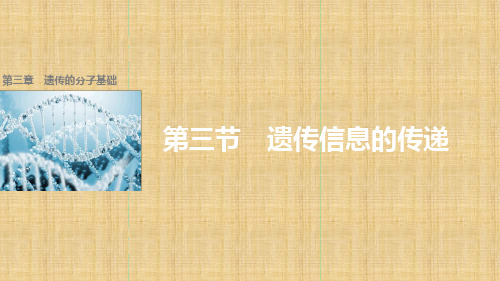 高中生物第三章第三节遗传信息的传递名师课件浙科版必修2
