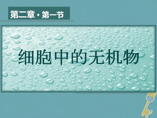 2017高中生物第二章细胞的化学组成2.2细胞中的生物大分子细胞中的无机物课件苏教版必修1